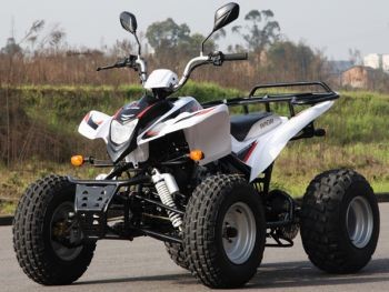 quad homologue 125cc